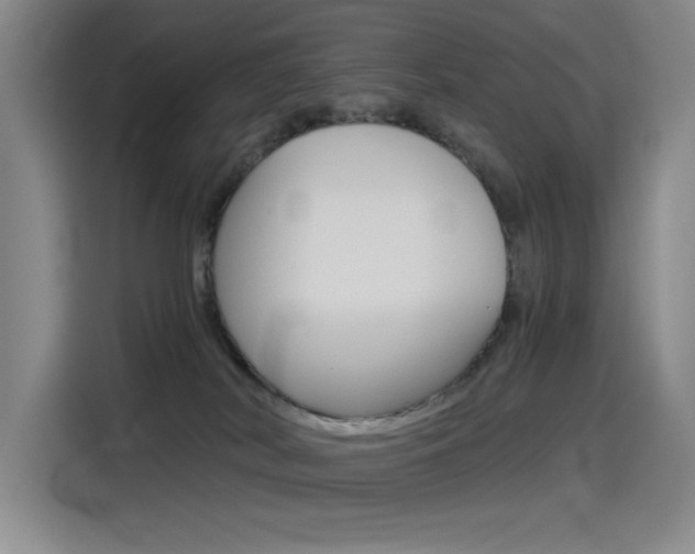 X0000114540038200910190940