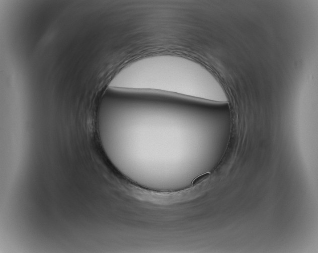 X0000114540039200910190940