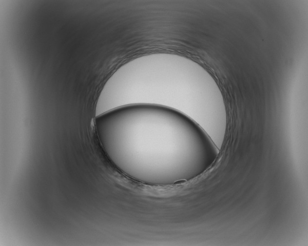 X0000114540041200910190940