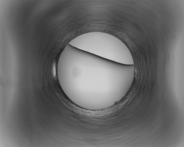 X0000114540046200910190940