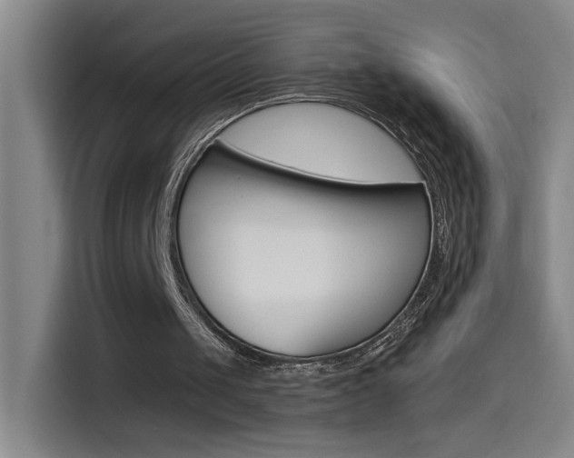 X0000114540049200910190939