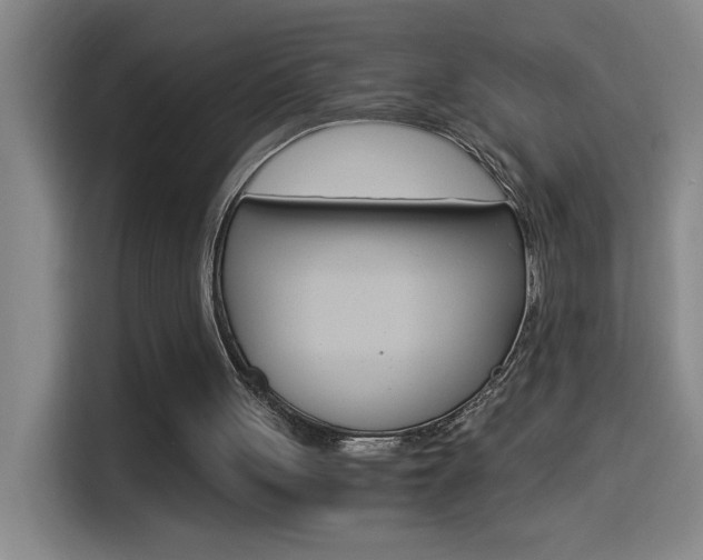 X0000114540051200910190939