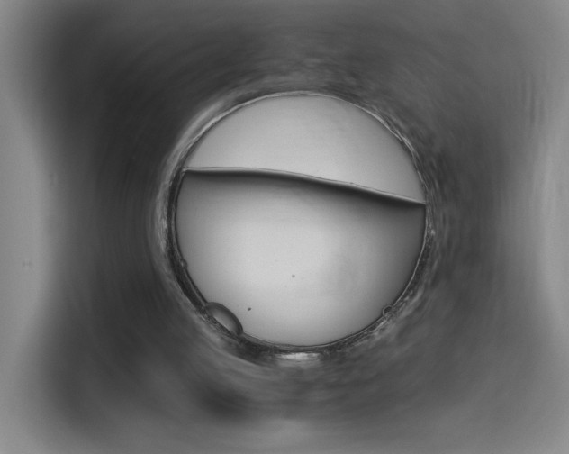 X0000114540053200910190939