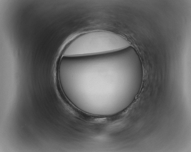 X0000114540054200910190939