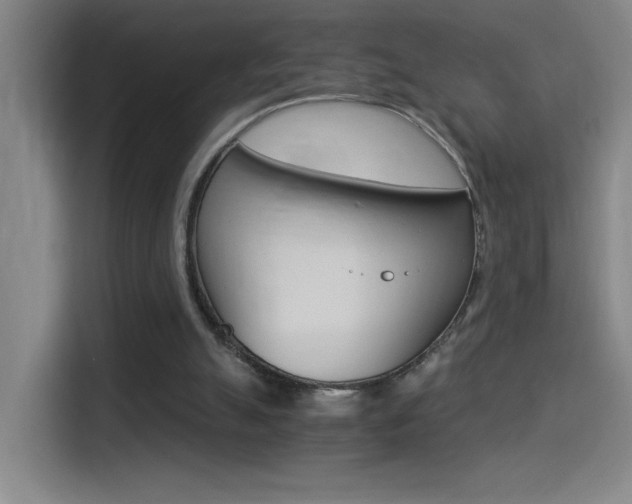 X0000114540055200910190939