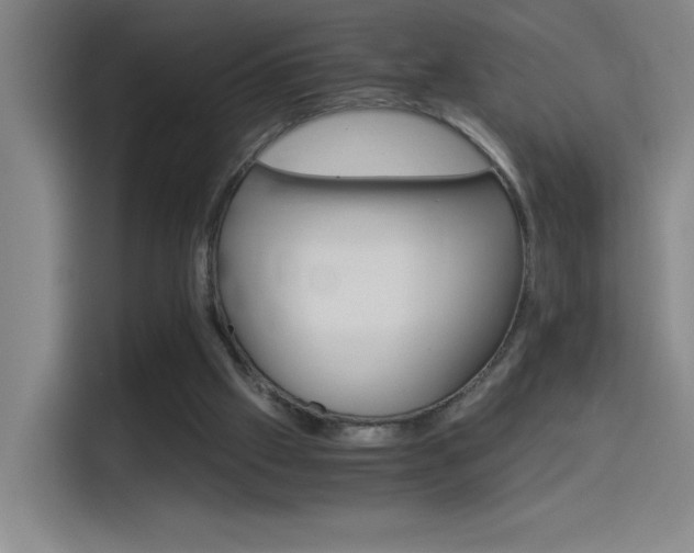 X0000114540057200910190939