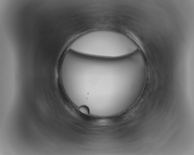 X0000114540059200910190939