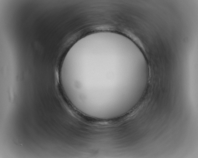 X0000114540061200910190939