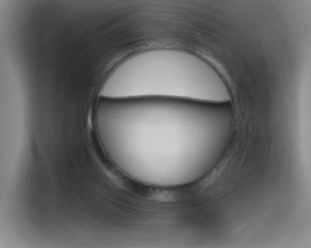 X0000114540062200910190939