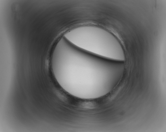 X0000114540063200910190939