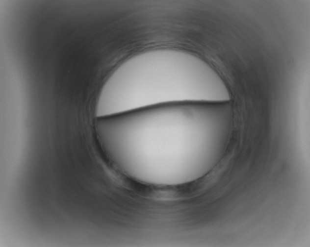 X0000114540066200910190939