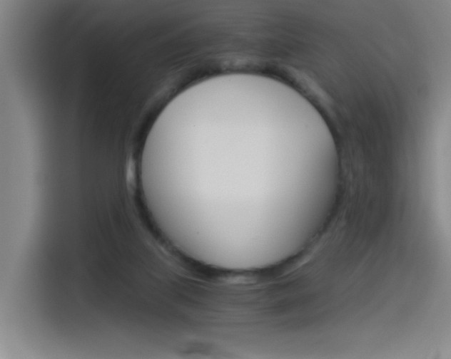 X0000114540067200910190939