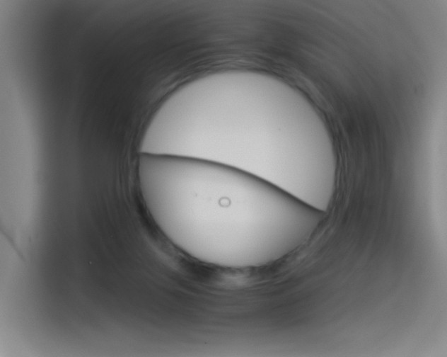 X0000114540071200910190939