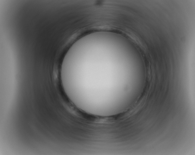 X0000114540072200910190939