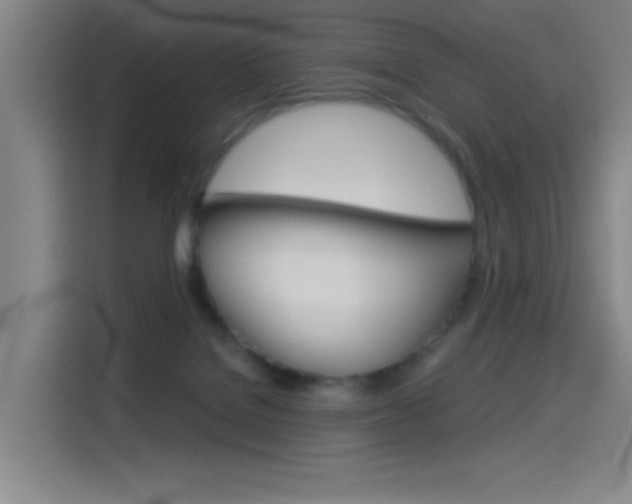 X0000114540076200910190940