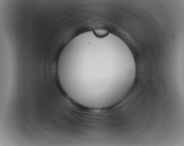 X0000114540083200910190940