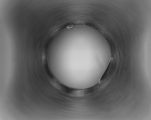 X0000114540084200910190940