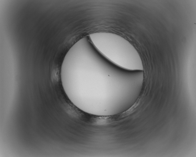 X0000114540090200910190940