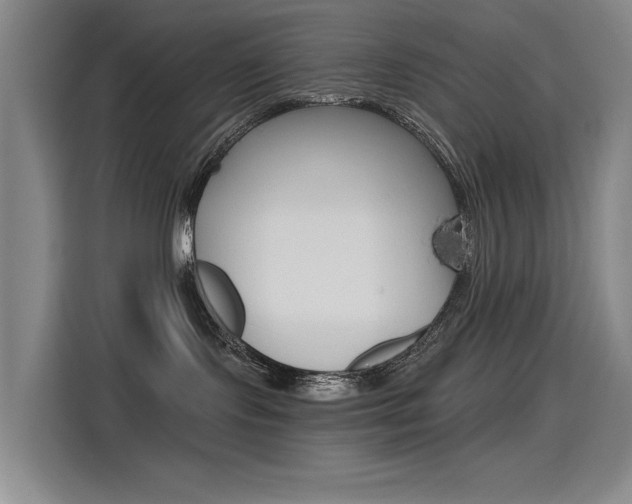 X0000114540095200910190940