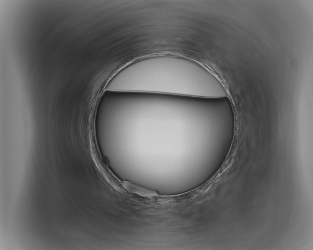 X0000114540097200910190939