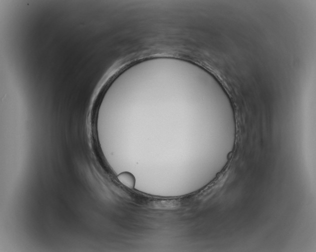 X0000114540102200910190939