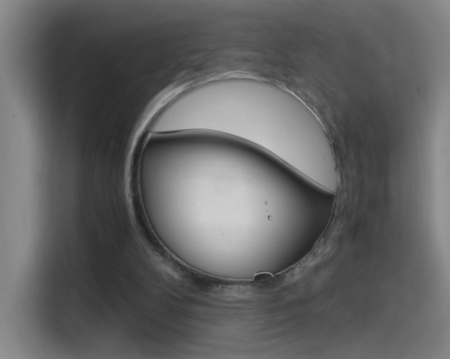 X0000114540104200910190939