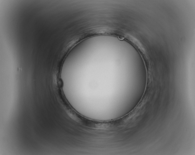 X0000114540105200910190939