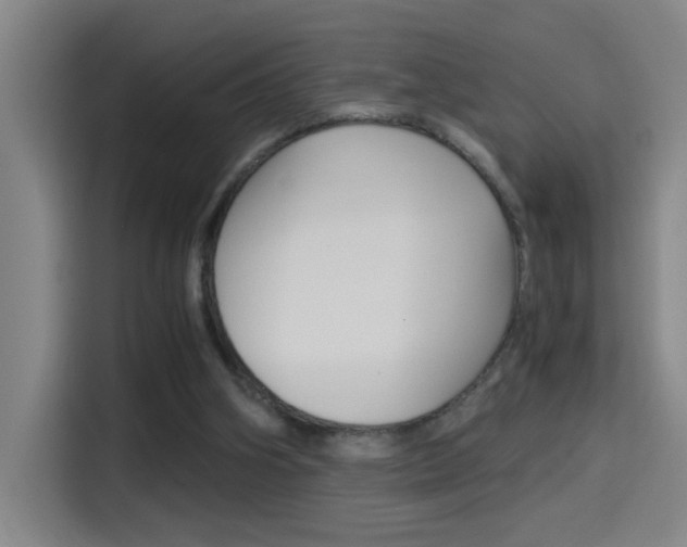 X0000114540106200910190939