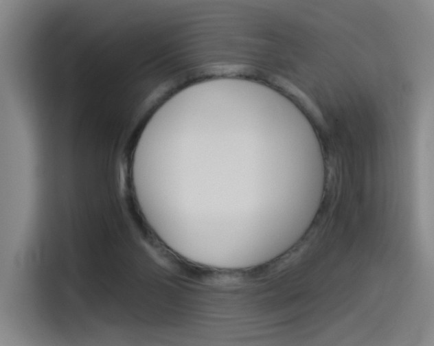 X0000114540110200910190939