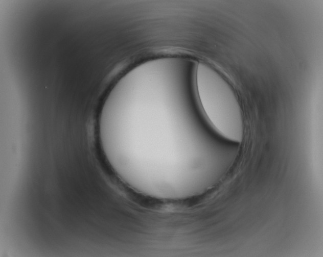 X0000114540111200910190939