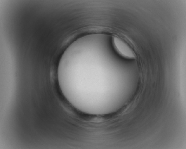 X0000114540119200910190939