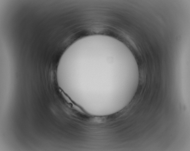 X0000114540126200910190939