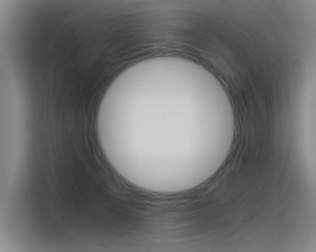 X0000114540129200910190939