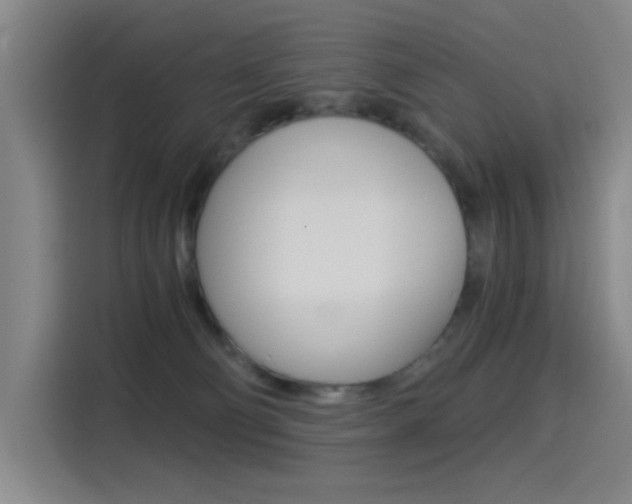 X0000114540130200910190939