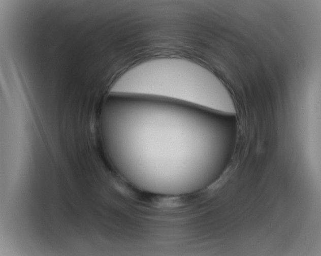 X0000114540132200910190939