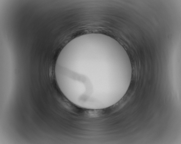 X0000114540134200910190939