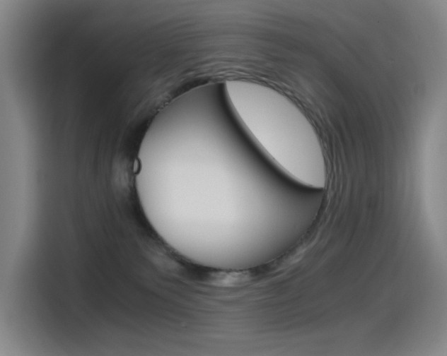 X0000114540135200910190939