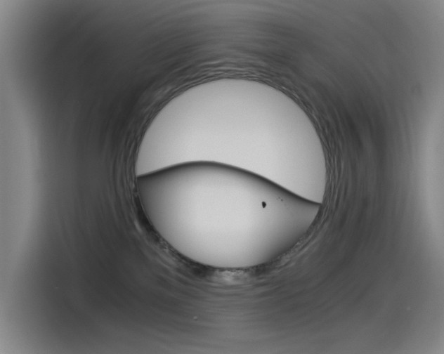 X0000114540137200910190939