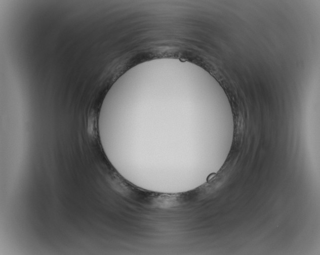 X0000114540138200910190939