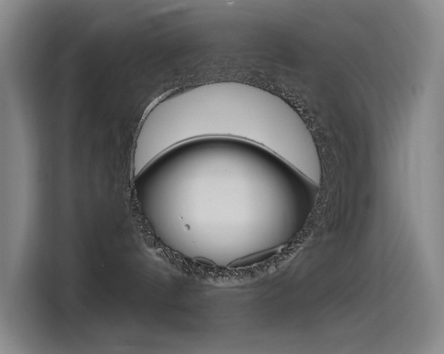 X0000114540144200910190939