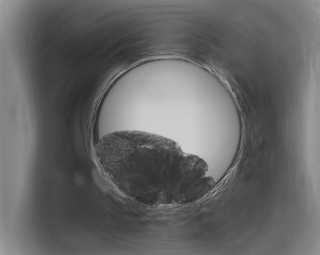 X0000114540145200910190938