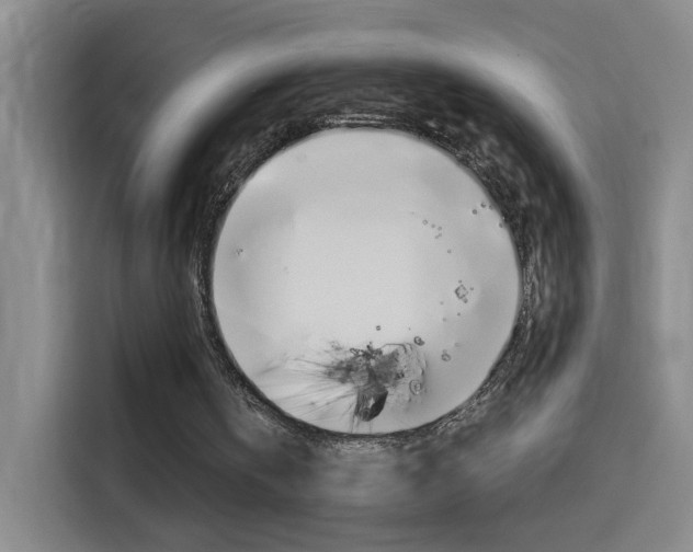 X0000114540146200910190938