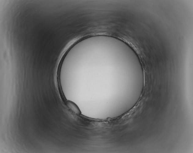 X0000114540147200910190938