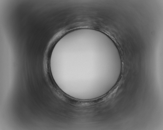 X0000114540149200910190938