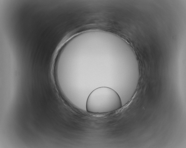 X0000114540150200910190938