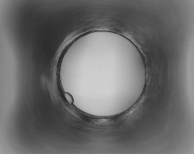 X0000114540151200910190938