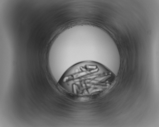 X0000114540158200910190938