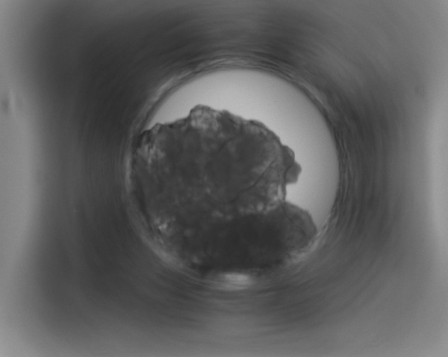 X0000114540159200910190938