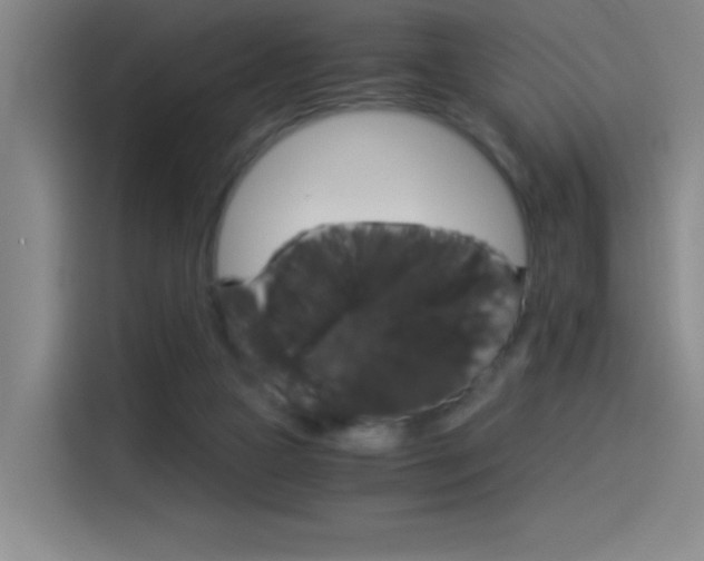 X0000114540161200910190938