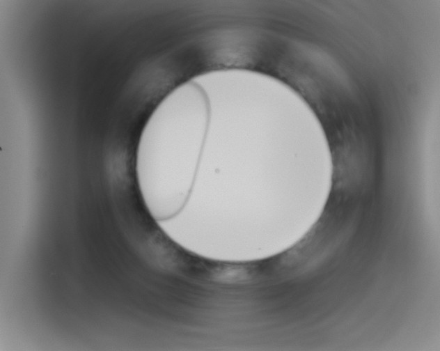 X0000114540162200910190938